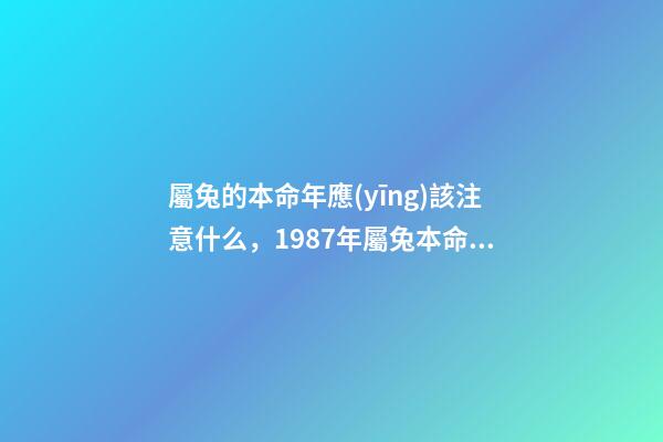 屬兔的本命年應(yīng)該注意什么，1987年屬兔本命年 87年的兔子應(yīng)該注意的什么-第1張-觀點(diǎn)-玄機(jī)派